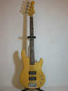 G&L (made in Japan).jpg